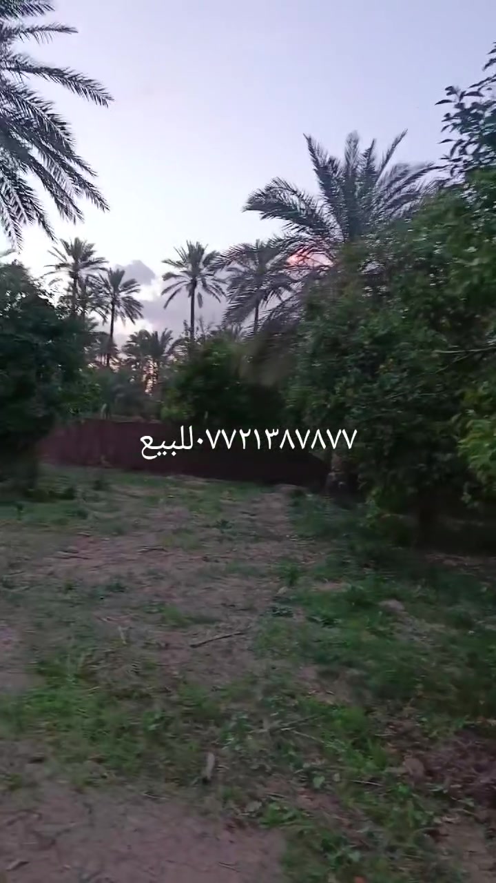 يالله سلام عليكم 
١٦٠٠متر طابو بستان
تحويل باسم المشتري كافة الخدمات
ثان قطعة من نهر دجلة موقع مزارع و شاليهات
العنوان المداىن منطقة الجعاره قرب شارع سيد علي للاستفسار ***********
