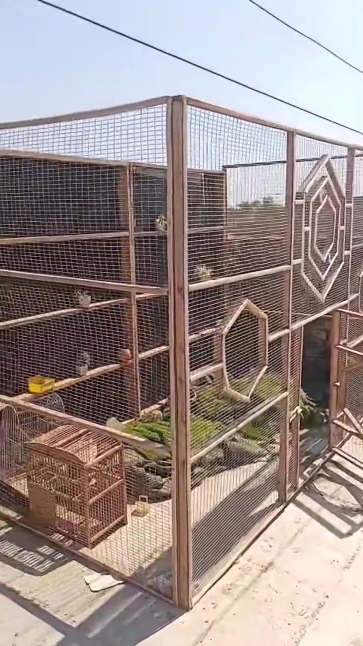 قفص بلابل بي ارسي القوي، و لوح المتين الضهر مالته جرابي ثنين قفص كلش قوي و نضيف وياه ثيل ينفرش
رايده 175
بغداد الحسينيه المعامل
***********

