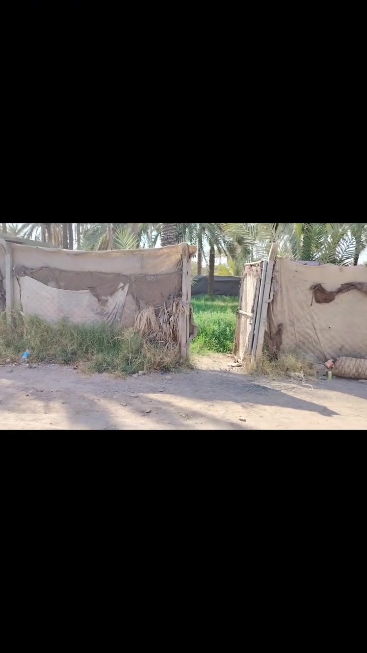 يالله السلام عليكم عرضنه اليوم بسعر المي بلاش بلاش والله
قطعة ارض المساحه 600 طابو زراعي سند 25 تحويل مباشر متوفر ماء اسالى وكهرباء وشارع 9 م موقع الارض ورديه خارج قرب محطة المقادير للستفسار اتصال ***********
