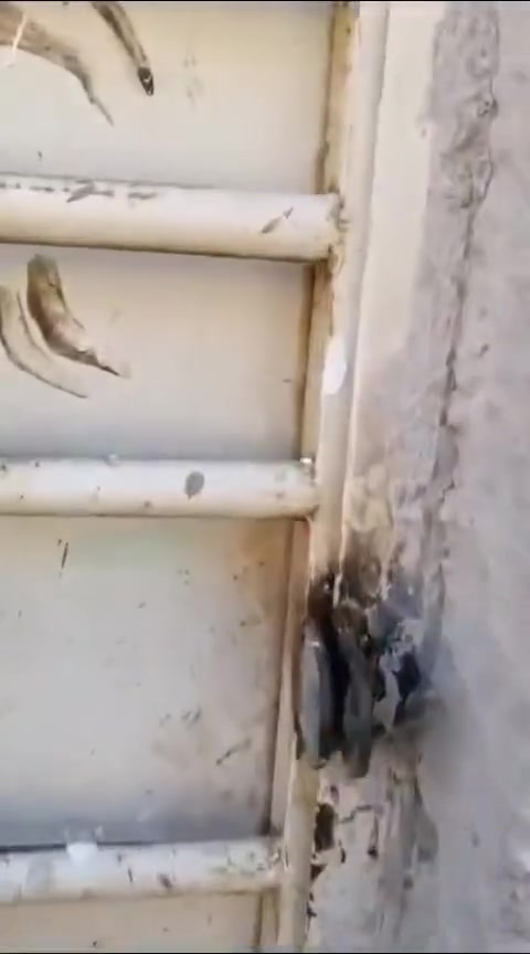 الزعفرانية • ٥٠م • زراعي