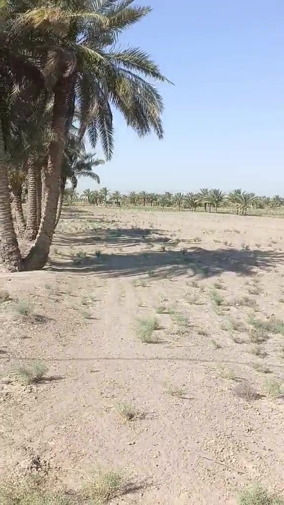 كاع تصلح لزراعه قرب مجمع الكوثر السكني يبعد عنه 3كيلوات دونمين ونص***********
