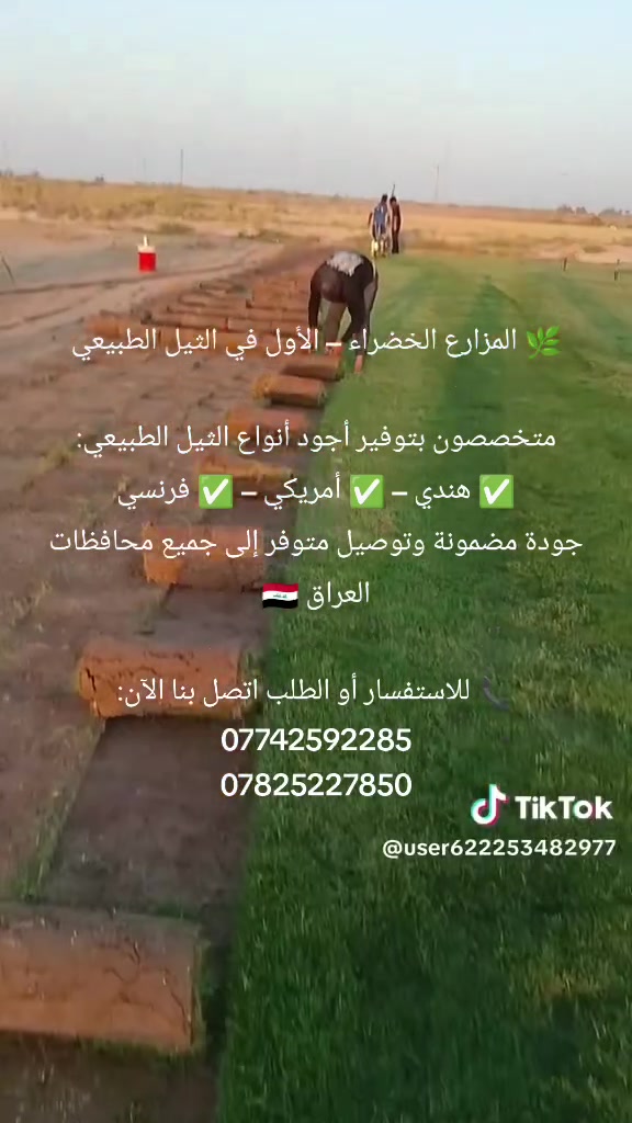 ثيل طبيعي • هندي أمريكي فرنسي • توصيل لجميع المحافظات