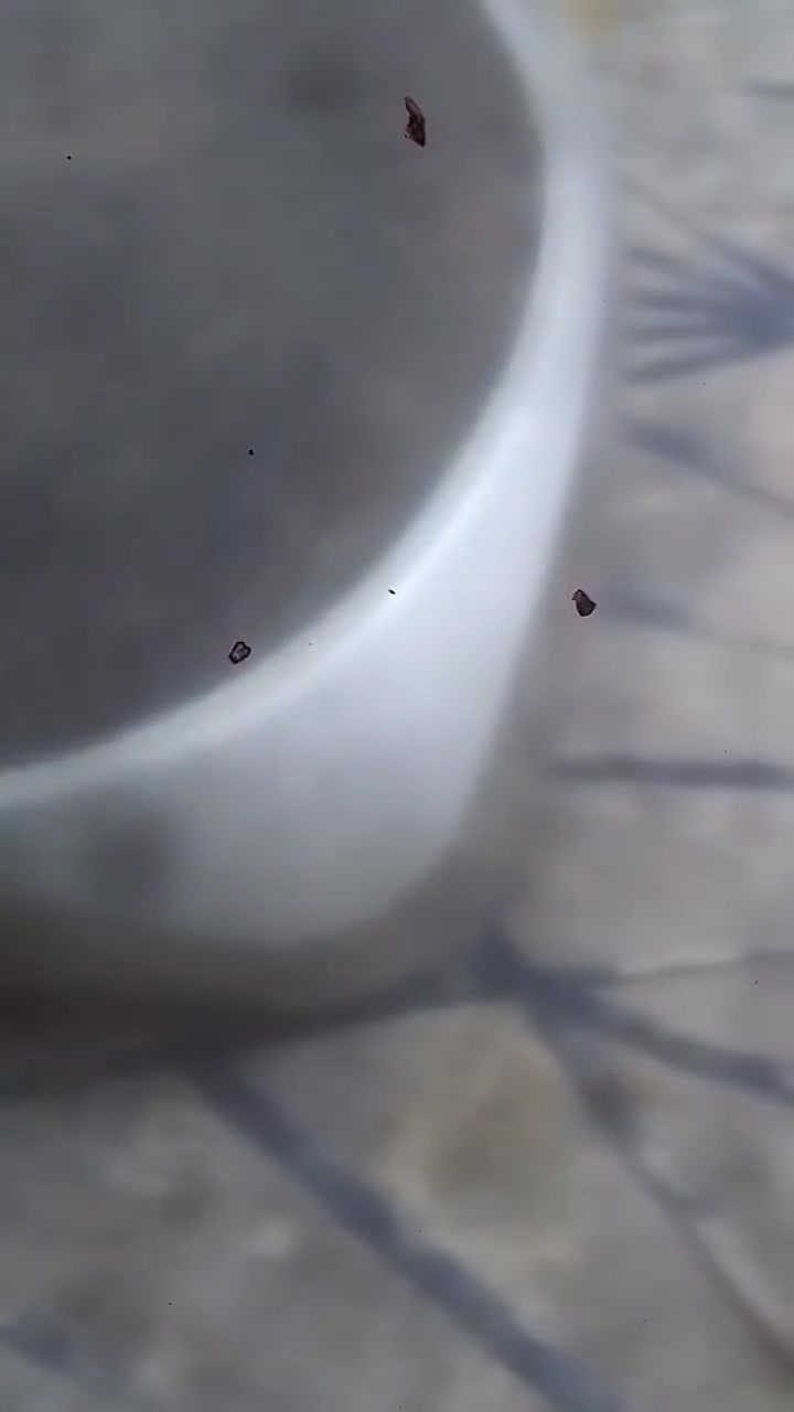 جهاز هزاز • لكل الجسم • بابل القاسم