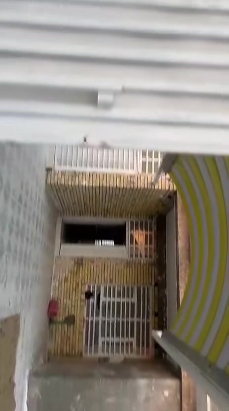 موقع 📍حي الكوفه 
بيت للبيع مساحة📐 350م
زراعي 
غرفتين نوم 🛏
صاله🖼
مطبخ 🍽
استقبال 🏛
صحيات🪞
بيت بناء حديث وجاهز 
مقابيل الملعب الجديد 🏟
كلشي موضح بالفيديو 🎥
الوسيط العقاري              
***********☎ واتساب 
عندك عقار تريد تعرضه عليك بس دز تفاصيل صور والباقي علينه
