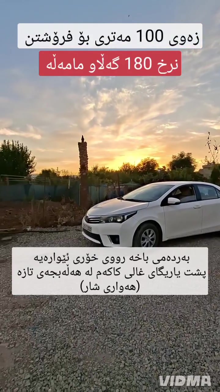 أرض • ١٠٠م • خلف ملعب غالي