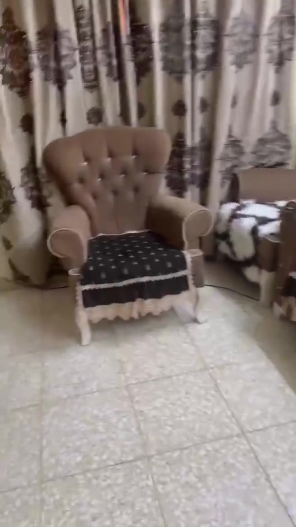 تخم للبيع سعره350للتصال رقم***********
