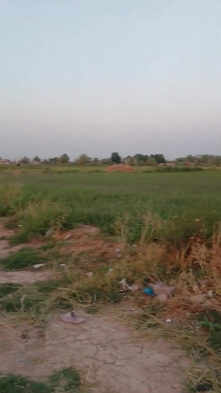 بيت + ثلاث مشتملات كلهن سيراميك كهرباء مي تبليط جاهزات للسكن في منطقة اليوسفيه قرب مركز تدرب مرقمات كلهن من البلديه سعر مناسب ‏‪***********‬‏
