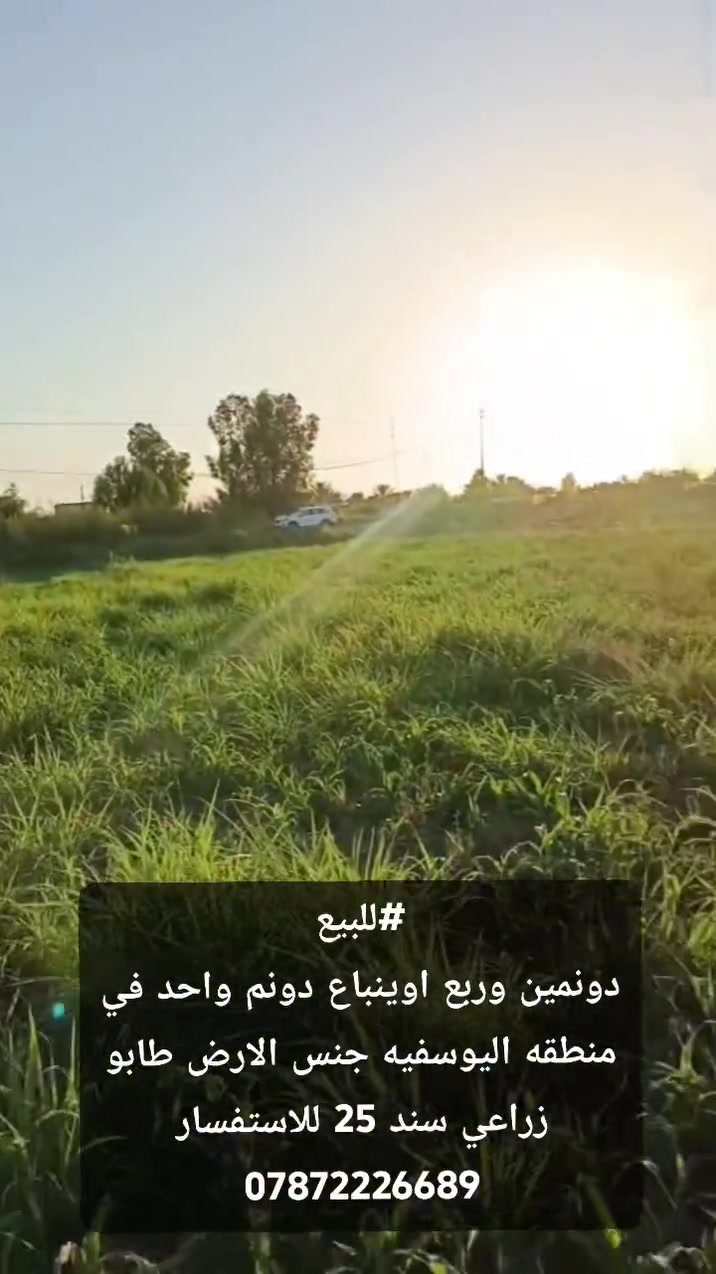 متوفر  دوانم زراعية للبيع في منطقة اليوسفية / بير الحمام/ وابو حصوه
📍 موقع مميز وقريب من الشارع الرئيسي
🛣 تبعد عن جسر الطابقين تقريباً 25_20 دقيقة فقط
🔹 مساحات مختلفة حسب الطلب ( نص دونم،دونم، دونمين، وأكثر)
🔹 طابو زراعي سند 25 
🔹 التحويل ثاني يوم
🔷 على طابو المحموديه 
🔹 الأسعار تبدأ من 50 مليون ولحد 180 مليون حسب المساحة والموقع
✅ متوفر جميع الخدمات:
⚡ كهرباء
💧 ماء صالح للري والإسالة
🚌 مواصلات
🛒 قريبة من كافة احتياجات الحياة
🌴 الأرض تصلح لـ:
• مزارع عائلية
• مزارع سياحية
• سكن مستقبلي
• استثمار مضمون وبعيد المدى
📞 للاستفسار والمعاينة:

*********** بي واتساب
