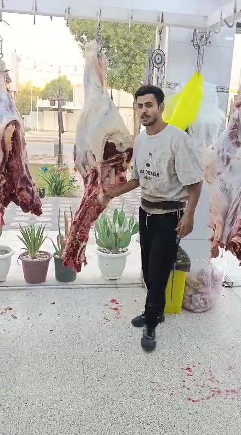 بسم الله الرحمن الرحيم يالله
ليوم الخميي ١٣/8/2026يعلن مطعم الماجد و قصابه الماجد عن بيع الحم عجل عراقي 
شرفونا وگل الهلا بيكم 
عنوان المسيب حي المعلمين مجاور اسواق الباشا   
***********
