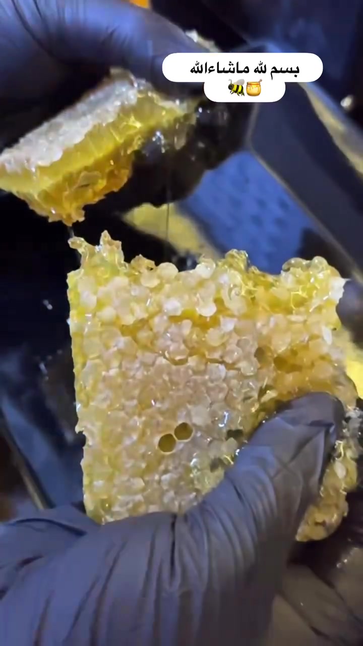 السلام عليكم
من رخصت صاحب الكروب
متوفر عسل 🍯طبيعي وشمع عسل
متوفر توصيل كل انحاء بغداد
متوفر تجهيز ب جملة لل استفسار
789 133 1557 واتساب
