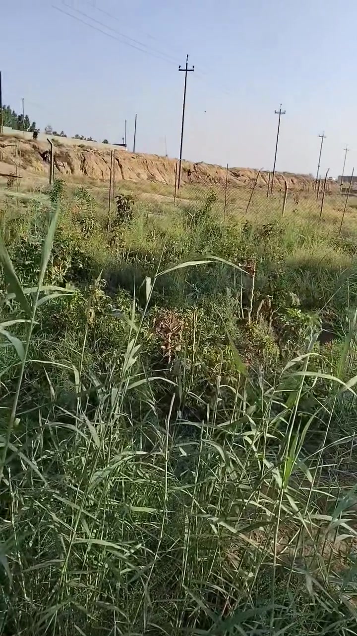 معروضة 40 بدل 45 ت***********
