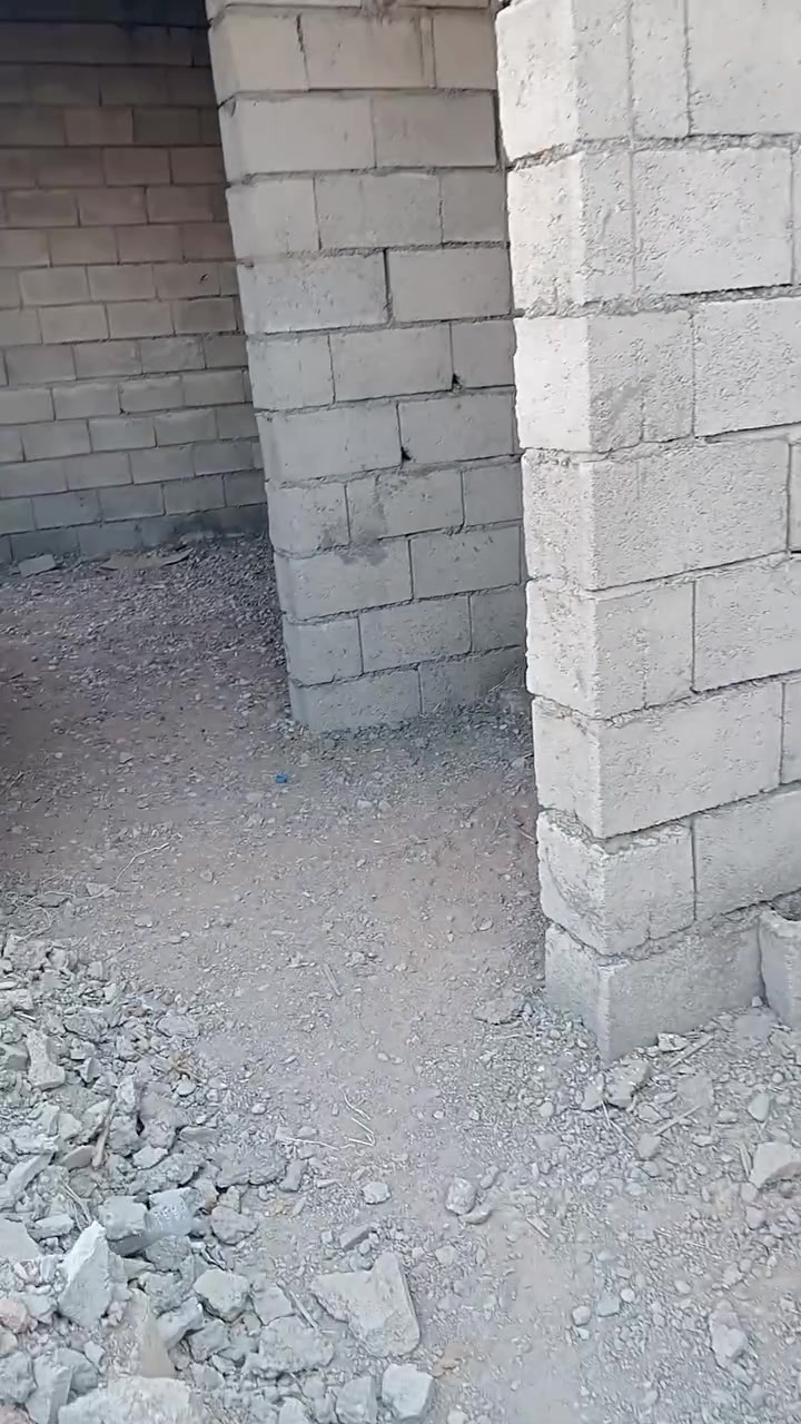 نجم الجحيش • ٢٠٠م • أساس مسلح
