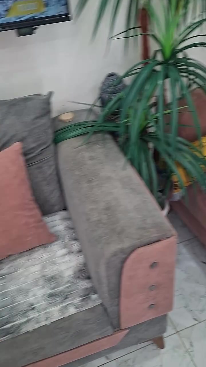 للبيع تخم سعره ٢٢٥ الف اني فصلته يم معمل تخومه يعني توصا بس خسفه بالتجوه مالته فقط بس نظيف كلش بدون اي كسر مكاني الامين الثانيه ***********
