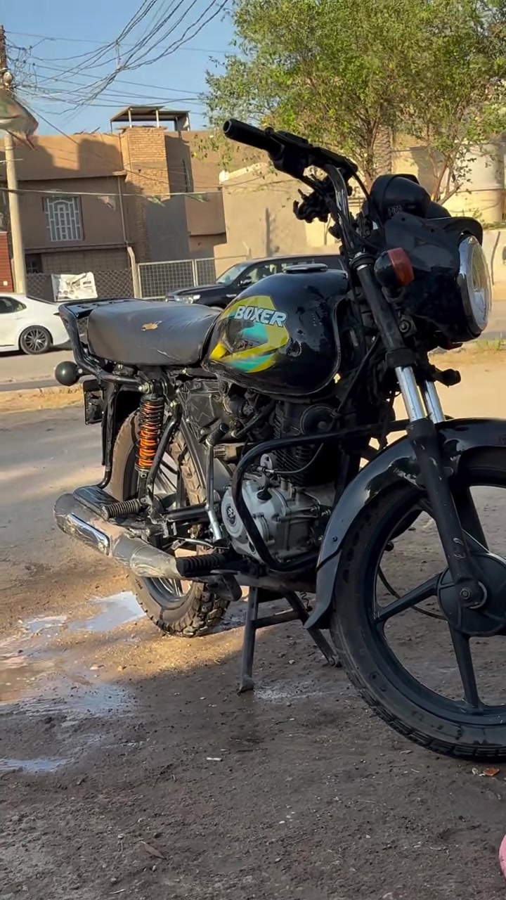 بوكسر • ٢٠٢٣ • محتاجه تجفيت
