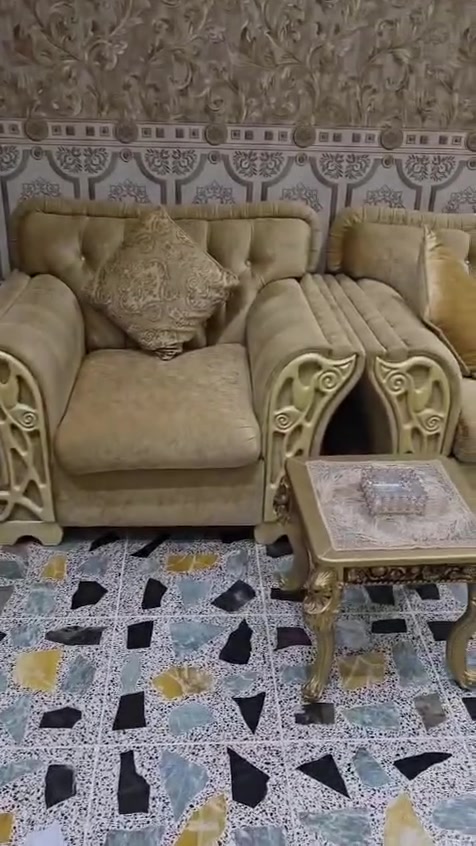 السلام عليكم تخم تاج ملكي للبيع السعر 600وبي مجال لطيبين العنوان صلاح الدين تكريت حي القادسيه الاتصال ***********
