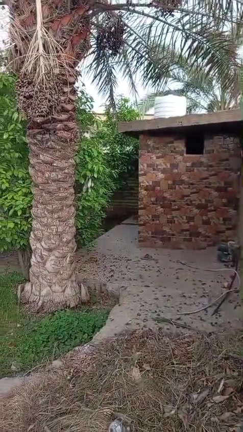 يا الله
بيت للبيع منطقة الخماس 
قرب الشارع العام المساحة ٤٠٠ متر 
بناء طابوق 
التفاصيل بالفديو
للاستفسار
***********
***********
مكتب حاتم كريم للعقار واهلا وسهلا
