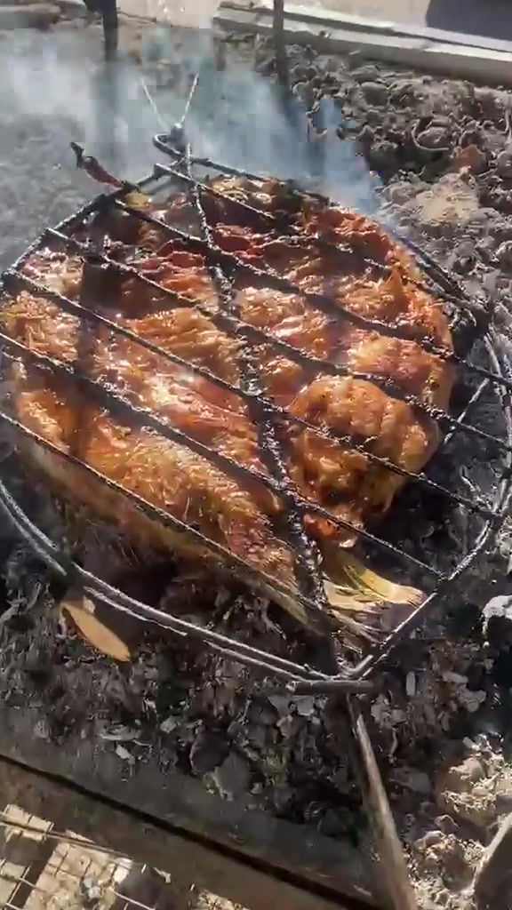 السلام عليكم مستمرين وياكم بالعروض الخاصه من مجزره دجاج واسماك المزرعه كيلو السمك المسكوف7500 الحجز والاتصال والاستفسار عنواننا حي القاهره قرب جسر البنوك يوجد لدينا خدمه توصيل ***********
