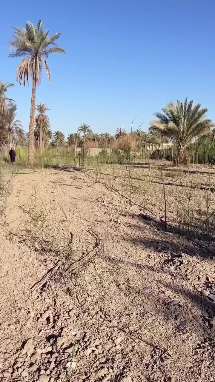دونم للبيع في منطقت الحافض خلف مشاتل العتبه بسمي سند 25 يحتوي على دار استراحه و300 شتله🌳 مشمش تين برتقال  🍊 تفاح 🍏 ونخل وبيها تئسيس ساقيات ماء  كهرباء وماء ومسيجه بل كامل السعر 240 مليون وبيها مجال هاذه رقمي للاستفسار ***********
