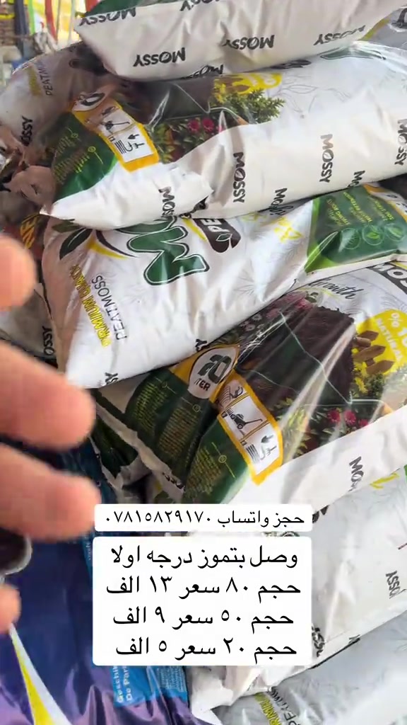 حجز واتساب • وصل بتموز • درجة أولى