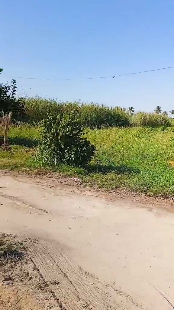 سلام عليكم.... 
ارض مساحه دونم مع مشتمل وحقل وحضيره 
ماء  وكهرباء كامله مكمل الارض طابو زراعي سند 25
مكان  الارض فلوجه الشهابي الأولى📍
الاتصال عل ***********
