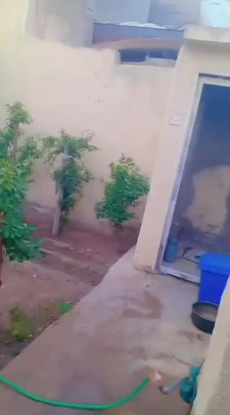 سلام عليكم بيت للبيع مساحه 140 موقع ماله بغداد الكماليه شارع لبداله لبيت تجاوز صاير بين الكماليه ولرئاسه سعره 60 وبي مجال رقم الهاتف *********** +***********
