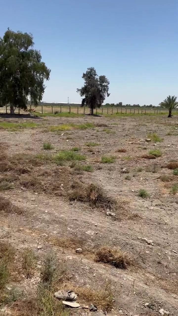 ابو غريب الشيحه • ٤ دوانم • طابو ٢٥