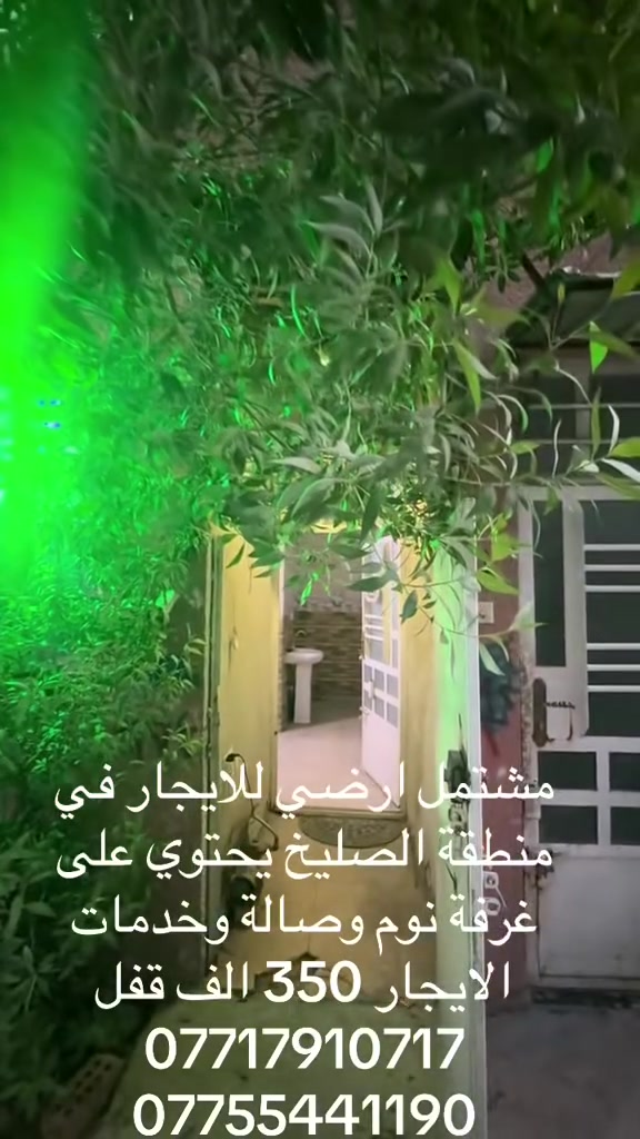 الصليخ • إيجار • غرفة واحدة