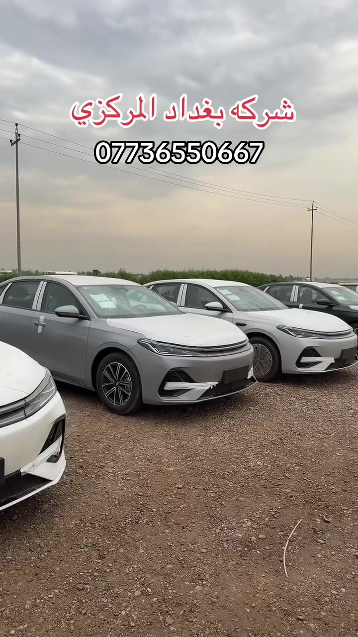 جيلي جالاكسي • البياع • بغداد المركزي