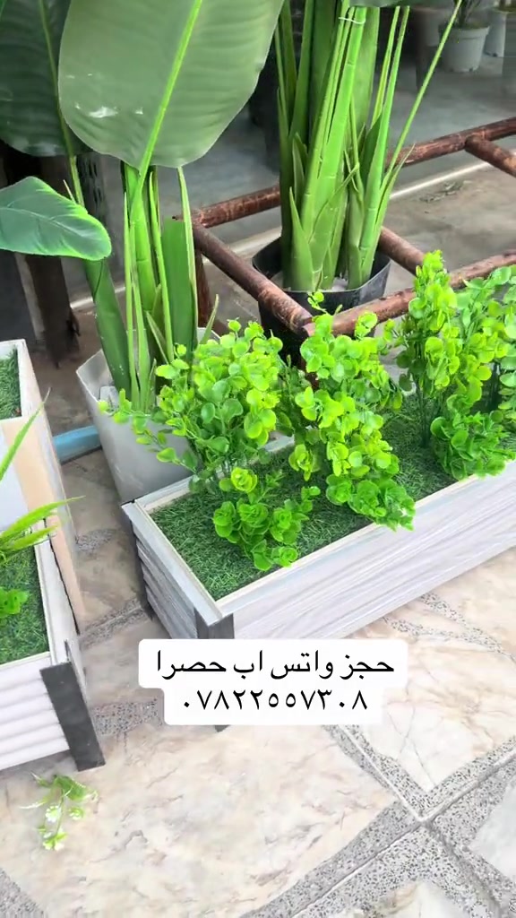 حجز واتس حصري • ديكور حديقة