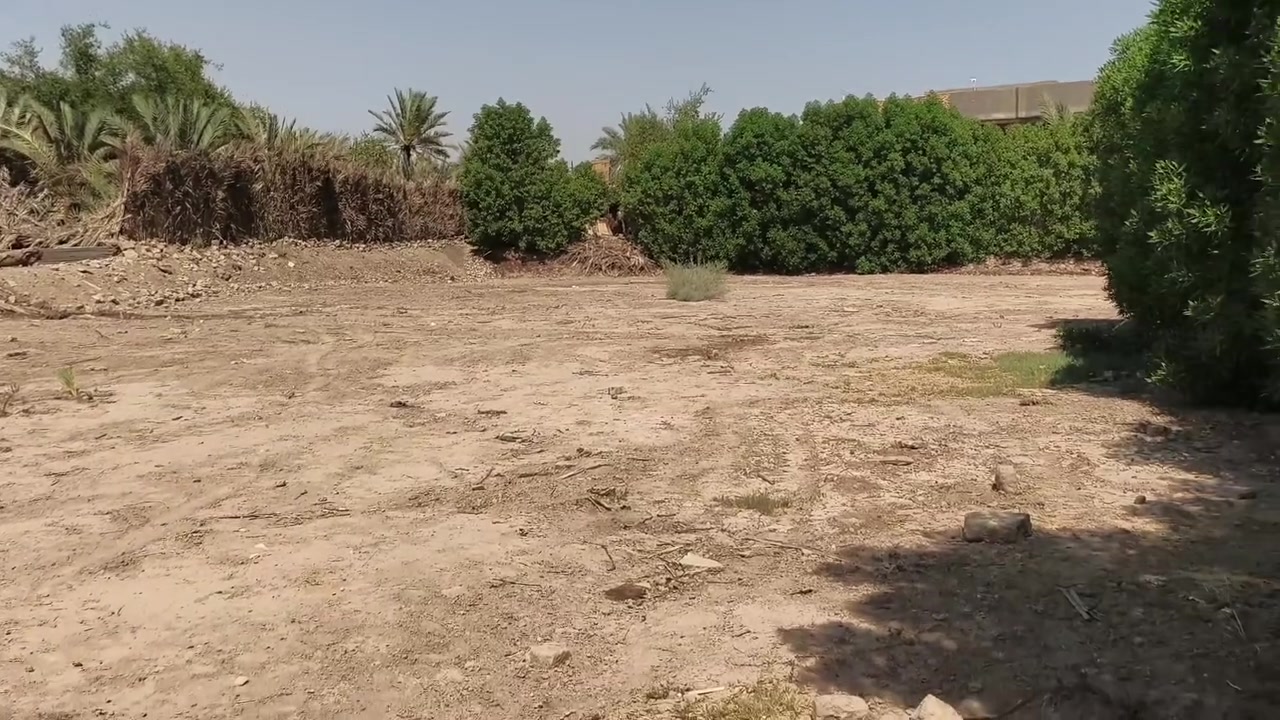 دار قديم بناء 2003 مع قطعه أرض مساحه1.650م خلف جامعة بابل يتوفر جميع الخدمات على الشارع مباشر اتصال أو واتساب *********** طابو زراعي سند 25 تحويل مباشر بسم المشتري
