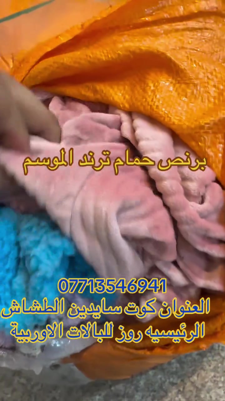 باجر • روز • البالات الاوربيه