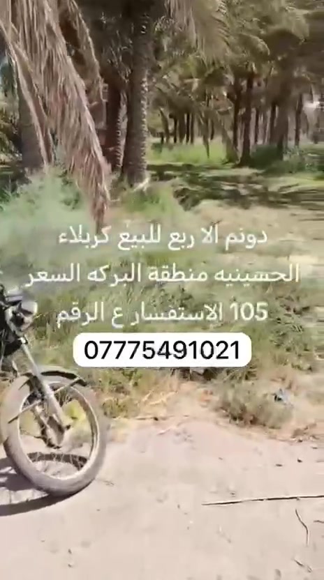 كربلاء • ١٩٠٠م • سند ٢٥