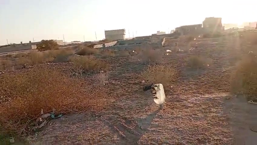 قطعة ارض طابو زراعي بل بالصالحيه مقايبل المتجع بشارع ركوب الخيل مساحته 200 م  سعرها 35
تواصل :***********
