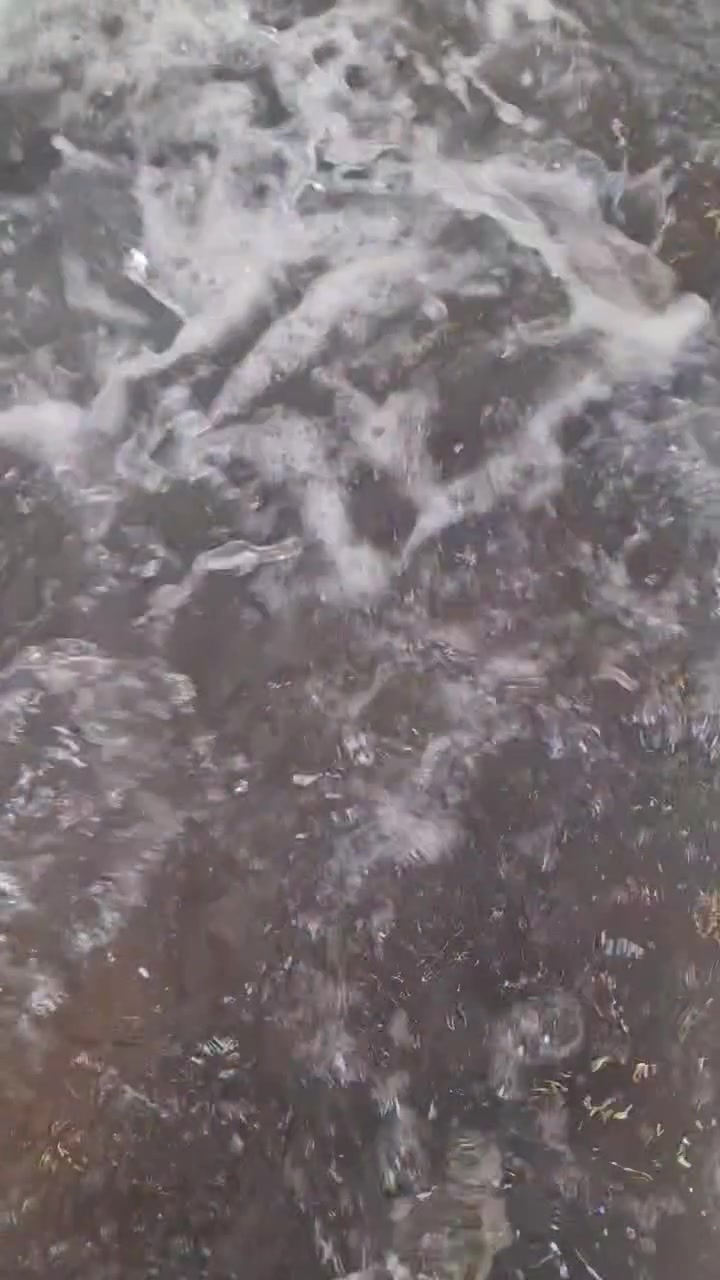 قرية الغدير • سمك • دجاج
