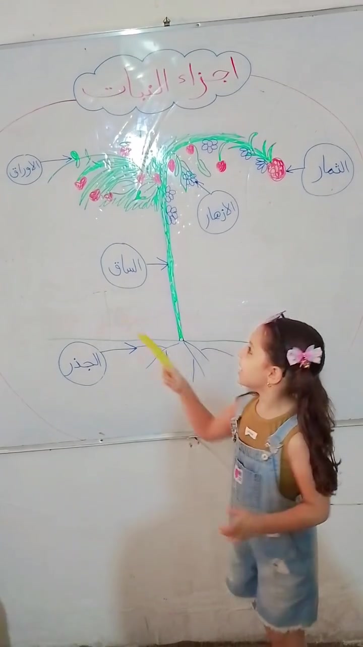🔬✨ درس العلوم في روضة جنات الغدير ✨🔬

بالعلم نكتشف، وبالتجربة نتعلّم، وبالفضول نفتح أبواب المعرفة 🌱💡
أطفالنا الحلوين يعيشون أجمل لحظات الاكتشاف، يتعلمون ويجربون ويفرحون بكل معلومة جديدة 🥰🧪

في روضة جنات الغدير.. نجعل التعلّم تجربة ممتعة، والعلم بداية لكل اكتشاف جميل. 🌈📚

📍 العنوان: بغداد / حي النصر الأولى / شارع المستوصف / شارع مأكولات حسين أبو التيا، في نفس بناية موقع جنات الغدير.

📞 للاستفسار والتسجيل:
***********
***********
