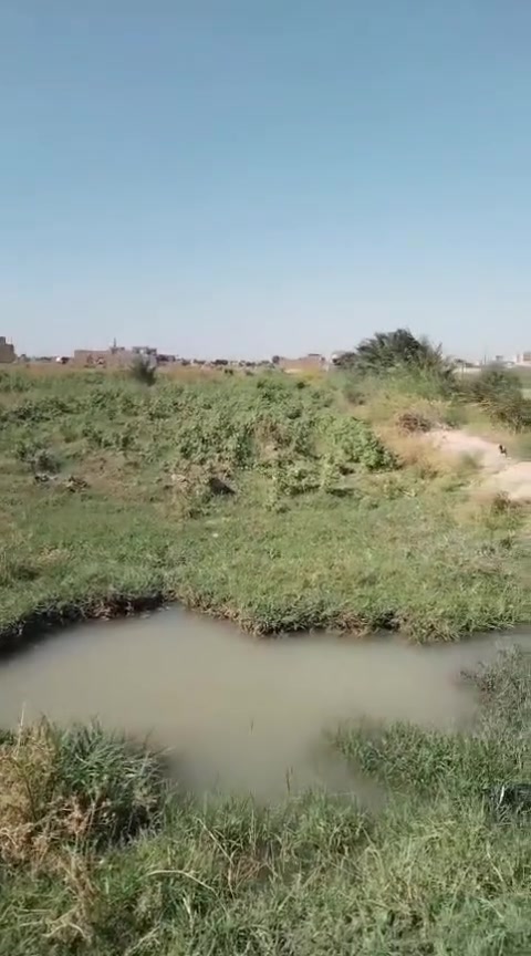 يم سيد ابو سدره • مستند • ٥ دونم