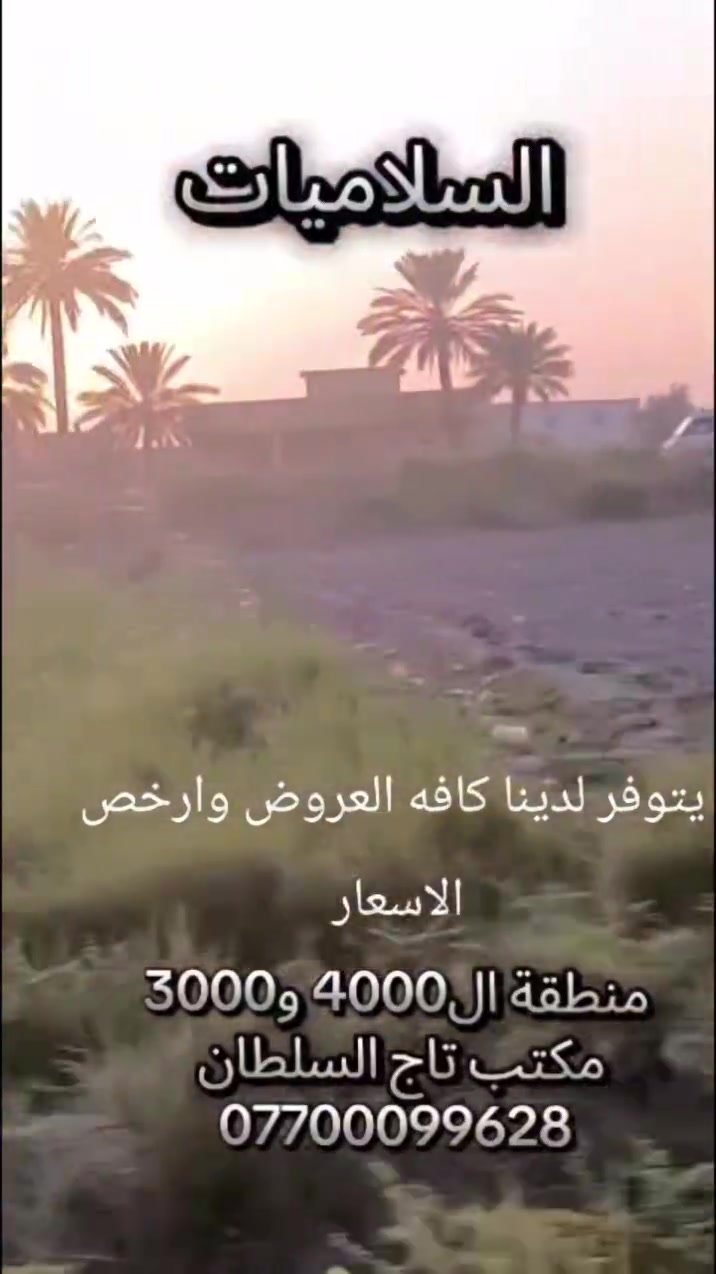 لا توجد تفاصيل
