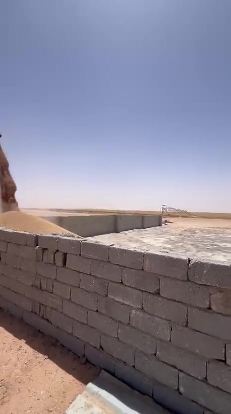 بذور حنطه نازار بنت المغلف الجيل الأول

معفر ومكيس وجاهز

موجود تصوير من الطابعه اله الحاصوده

والبذور شرط الفحص

مكاني نجف

***********
