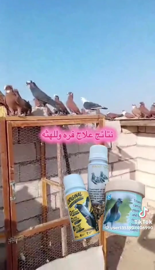 علاج • الفره • اللهثه