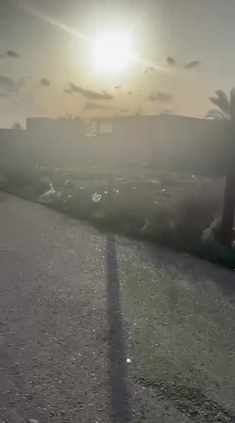 ٢دونم • طابو ملك صرف • شارع السفير