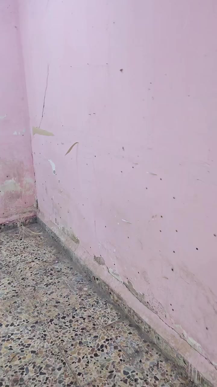 السلام عليكم عندي صف بمدرسة ٦×٤
 يحتاجه تنكير وجص وبورك والمواد عليه المكان بغداد حي العدل الي يشتغله يتصل هذا رقمي ***********  او يراسلني على الواتساب يكلي شكد ياخذ عليه

