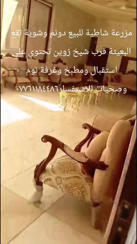 السلام عليكم .أن هذا لرزقنا ماله من نفاذ
مزرعة شاطية للبيع دونم  وشوية سند ٢٥ تحتوي على استقبال وغرفة نوم ومطبخ وصحيات تقع في البعيثة قرب شيخ زوين للاستفسار +964 776 118 4486

