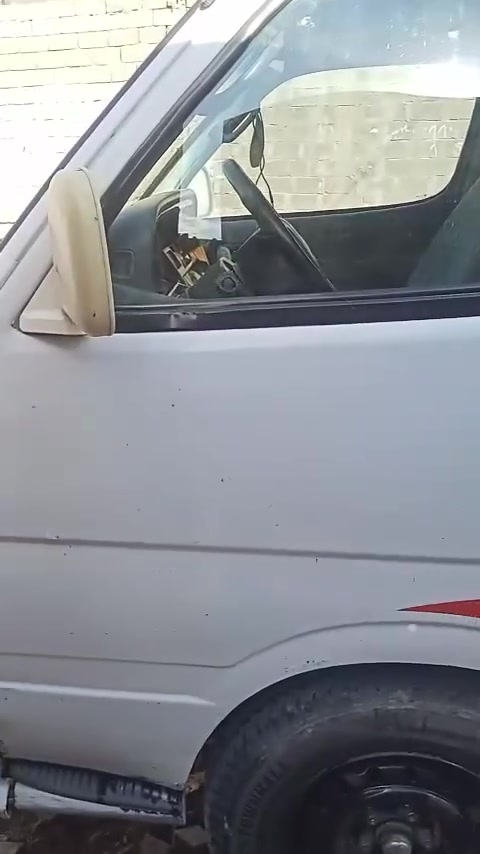 فتون • ٢٠١٠ • مصفره