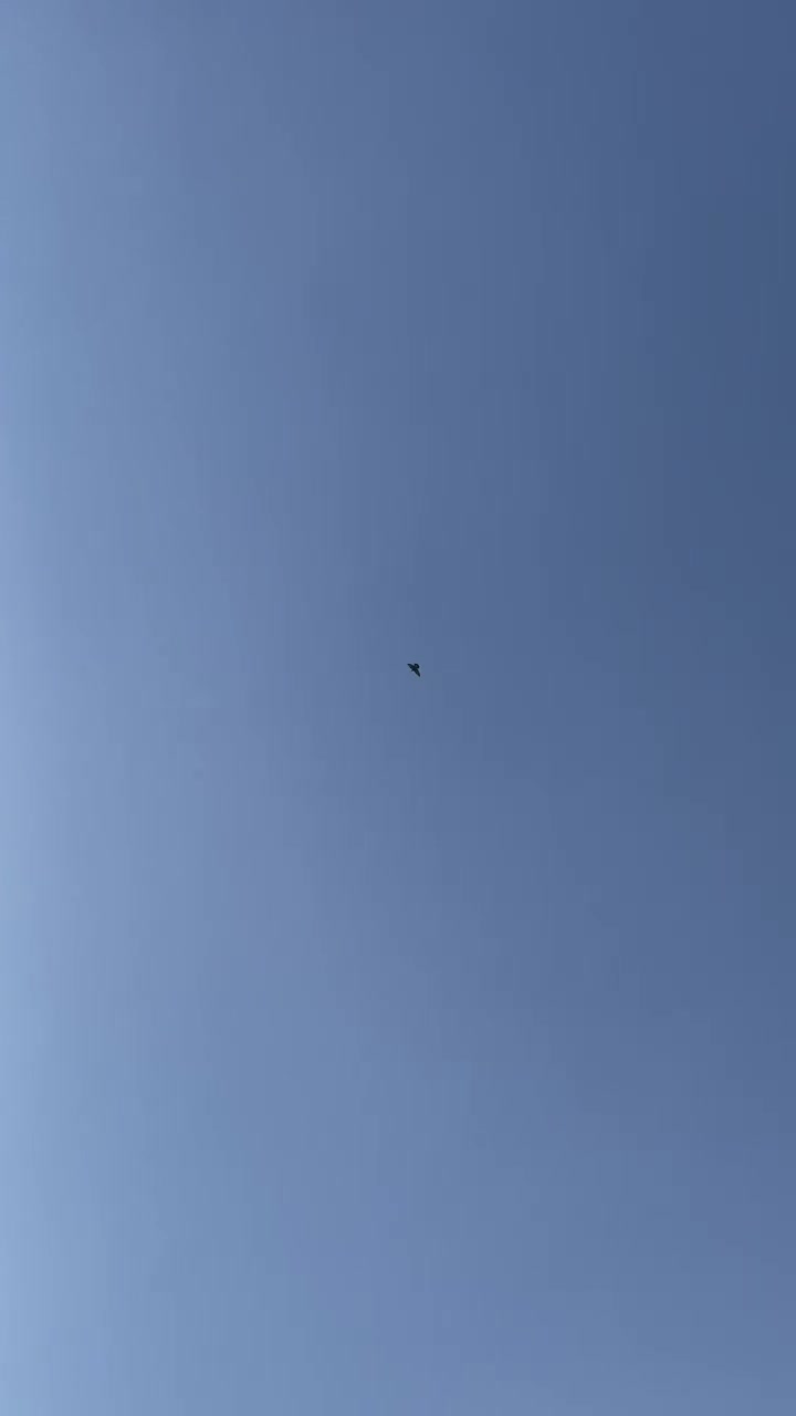 حمام • للبيع • بغداد جديدة