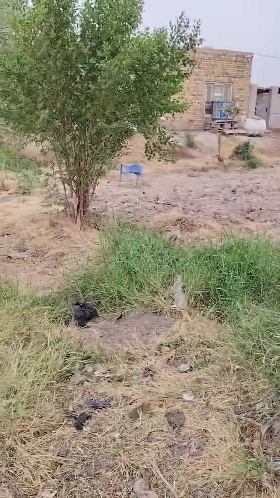 بيت ٢٠٠م • طابو زراعي • السنيه السياحي