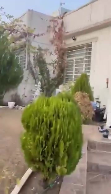 مجمع شاري نمونه • ٢٢٠م • مؤثث كامل
