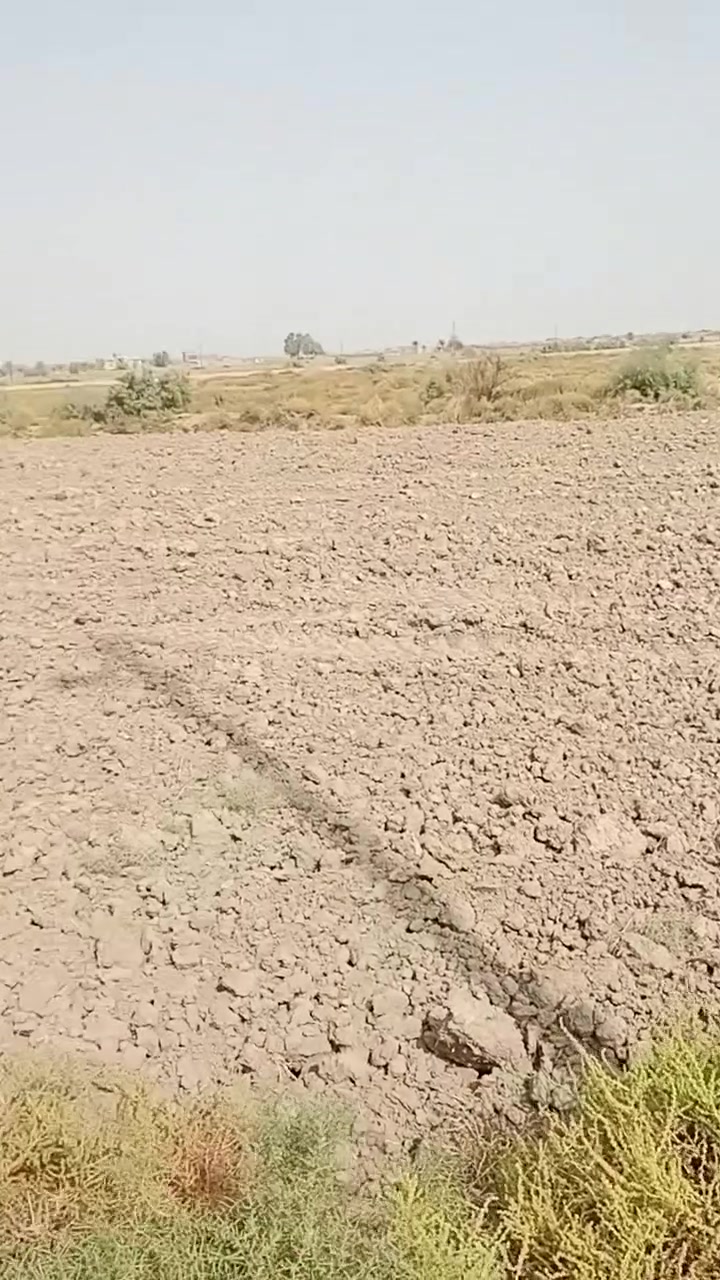 ارض زراعية • ١٠ دونم • قضاء النجمي