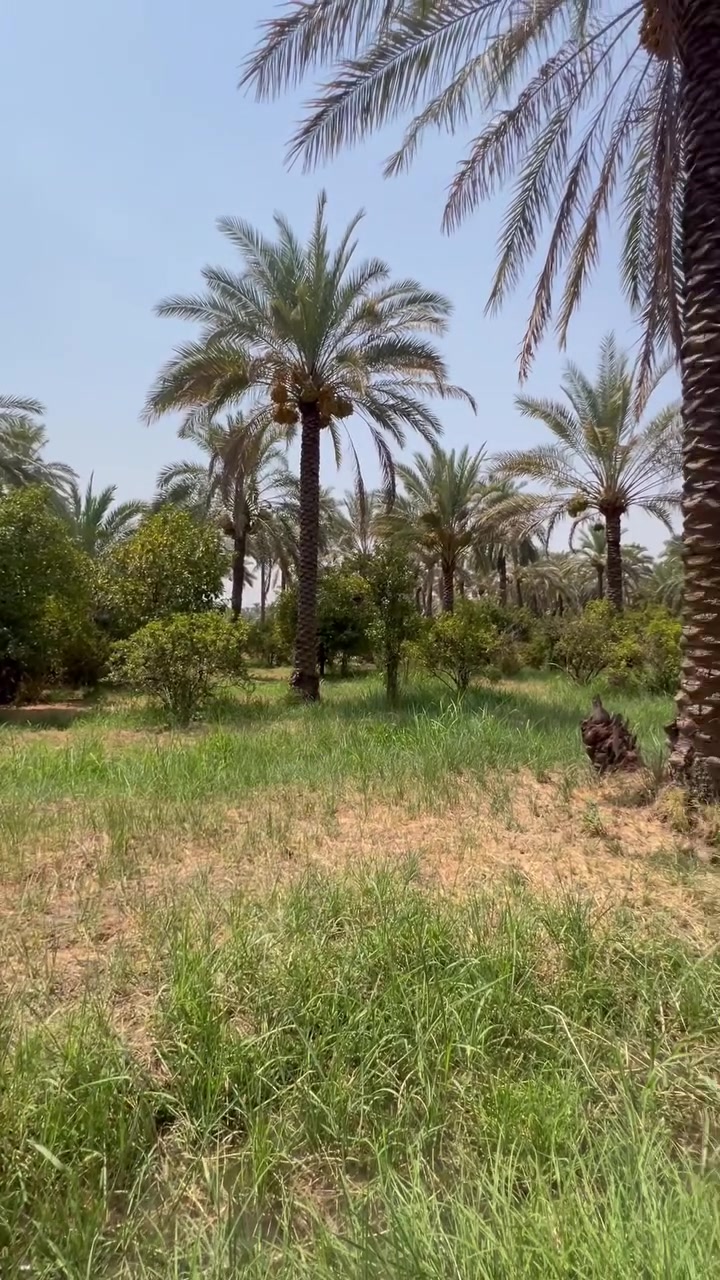 إعلان ☑️ 🌲

السلام عليكم ورحمة الله وبركاته 👋👋

✨-—عقار للبيع مناسب سعر ——✨

🌿دونم (2500) متر مربع🌿 

📏الواجه 35 متر 
📈النزال 70 متر 

📄صنف الارض طابوا ملك صرف حق التصرف 
تحويل مباشر وفتح بيان علئ طابوا الزهور 

الخدمات ☑️ 
1. شارع (10) متر📈🏠 
2. ماء اساله 💦 
3. ماء مباشر من الشط نهر دجله 💦 💧 
4. كهرباء ⚡️ 

📍📍العنوان بغداد الراشديه  
عن فلكه الناحيه (5) دقايق فقط 

التواصل لمعرفه السعر الاتصال علئ الرقم 
(***********) 
خدمه الواتساب 📞☎️
 #
 #فيسبوك 
 # الأردن 
 #العراق  
 #دبي
 #الراشديه 
 #الإمارات 
 #آلسعوديه 
 #تركيا 
 #أربيل 
 #دهوك 
 #مزراع 
 # #الدوره 
  #فلو #fl #o #i # #r #w #m #B #D #r #T #a #s #fightcoronavirus #fightagainstcoronavirus #f #HJ #P #k
