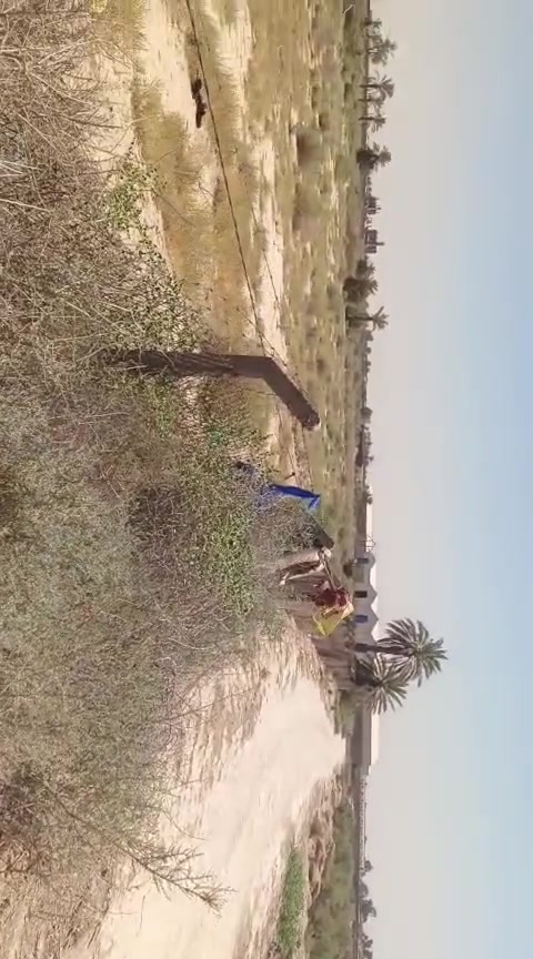 ٥ دونم  الكرغوليه ليجار وستمار اتصال ***********
