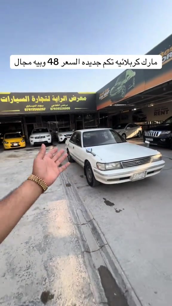 مارك كربلائيه • النجف • معرض الراية